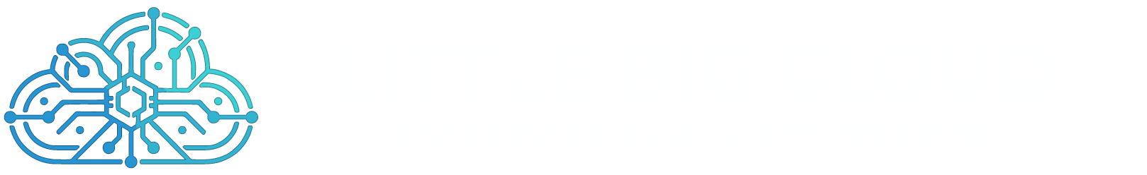 Little Big Cloud logo